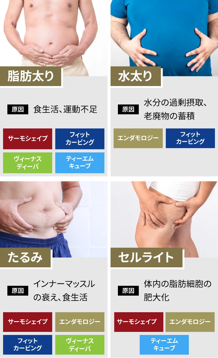 脂肪太り、水ぶとり たるみセルライト